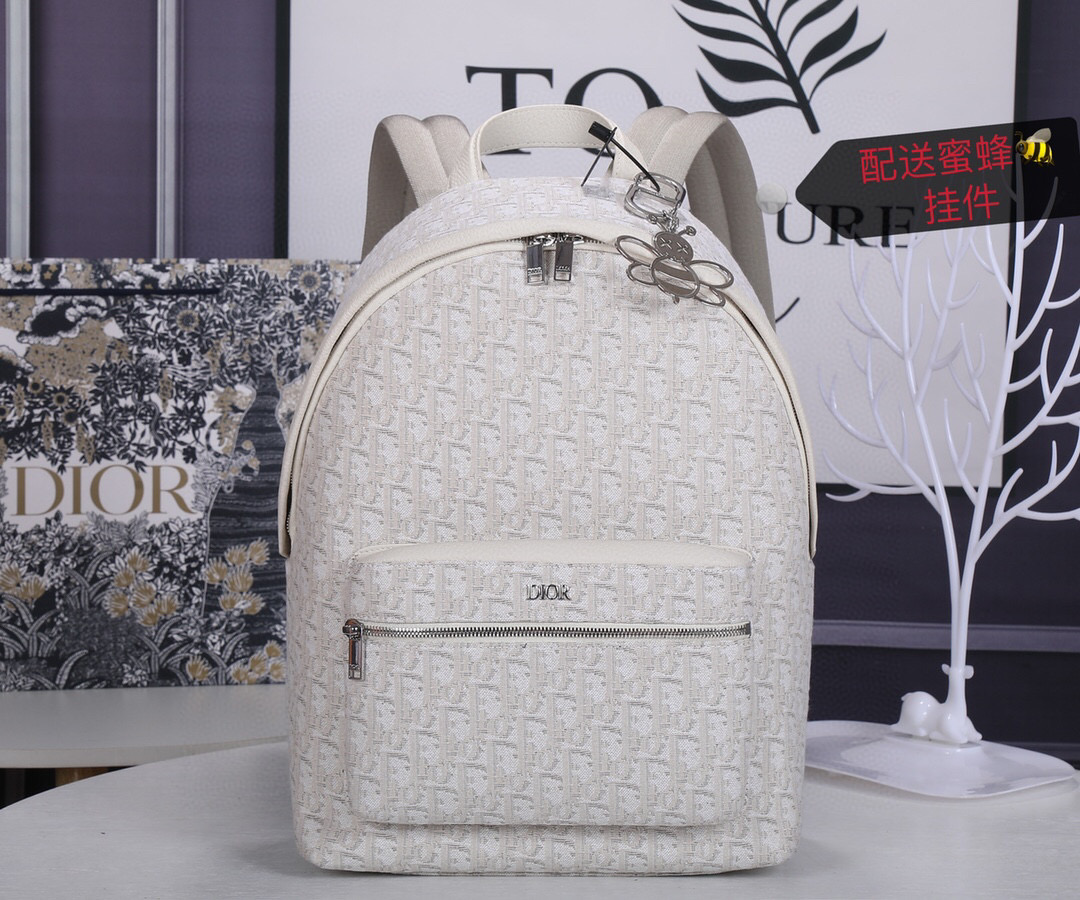 디올 백팩