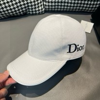 디올 모자