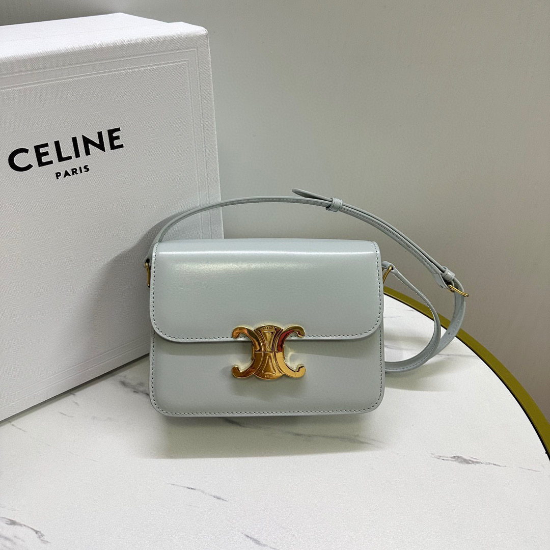 셀린느 여자가방 188423