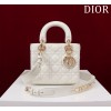 디올 레이디 백 여자가방