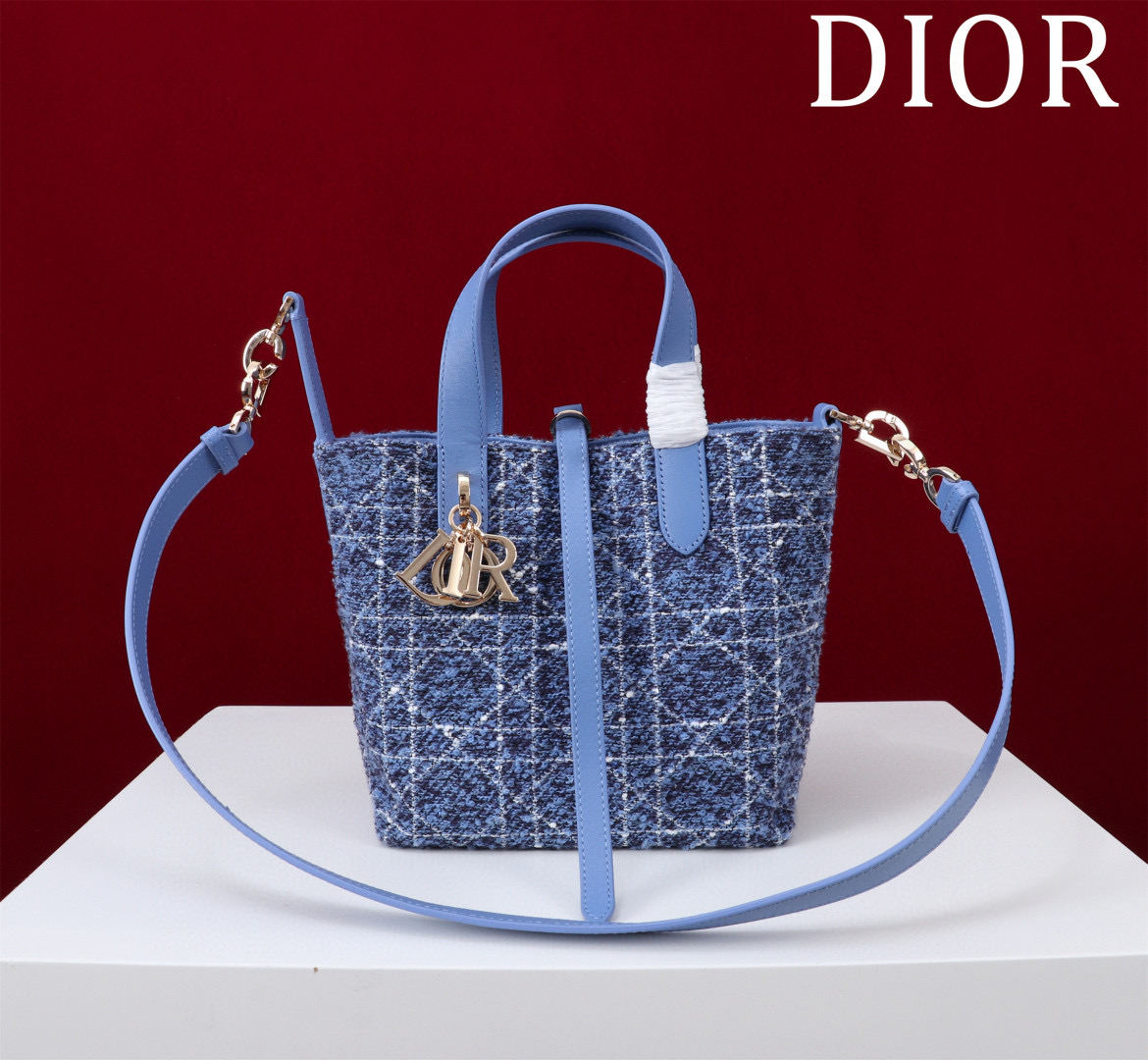 디올 스몰 여자가방