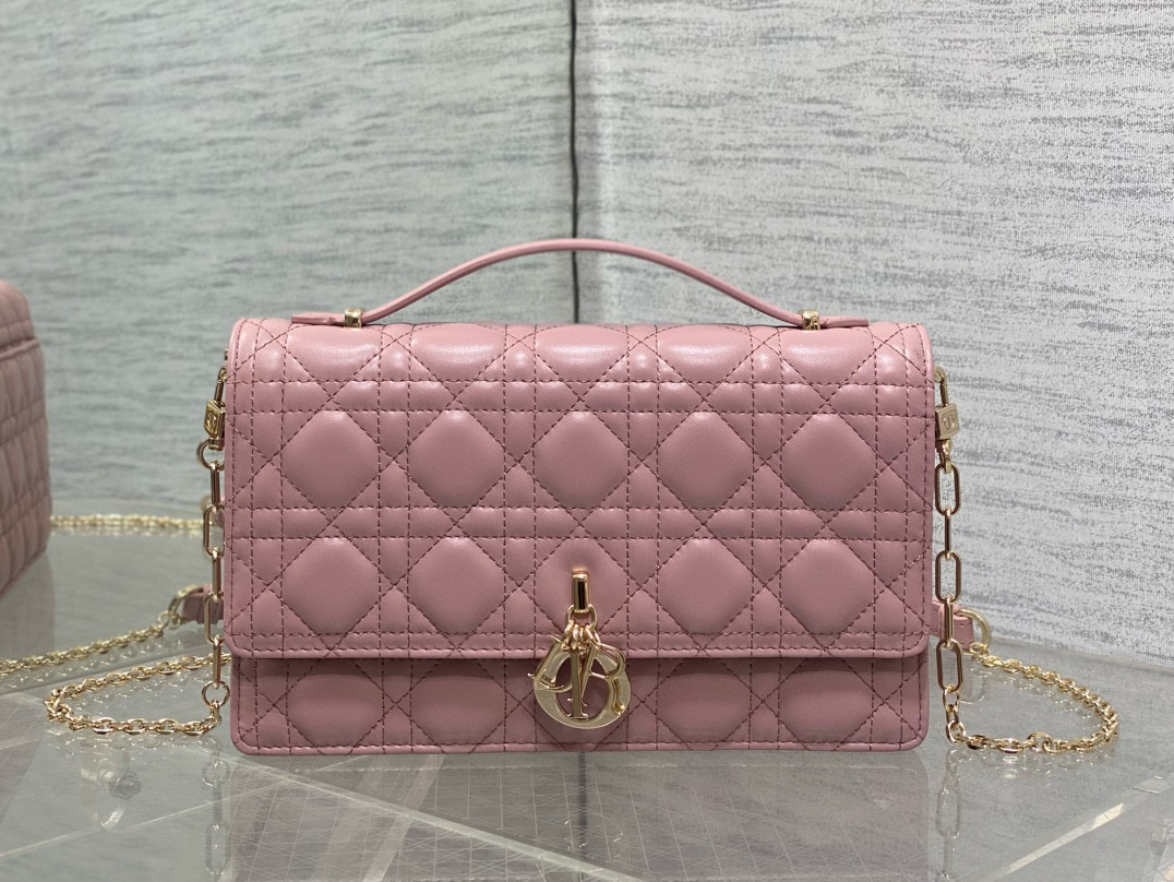 디올 여자가방