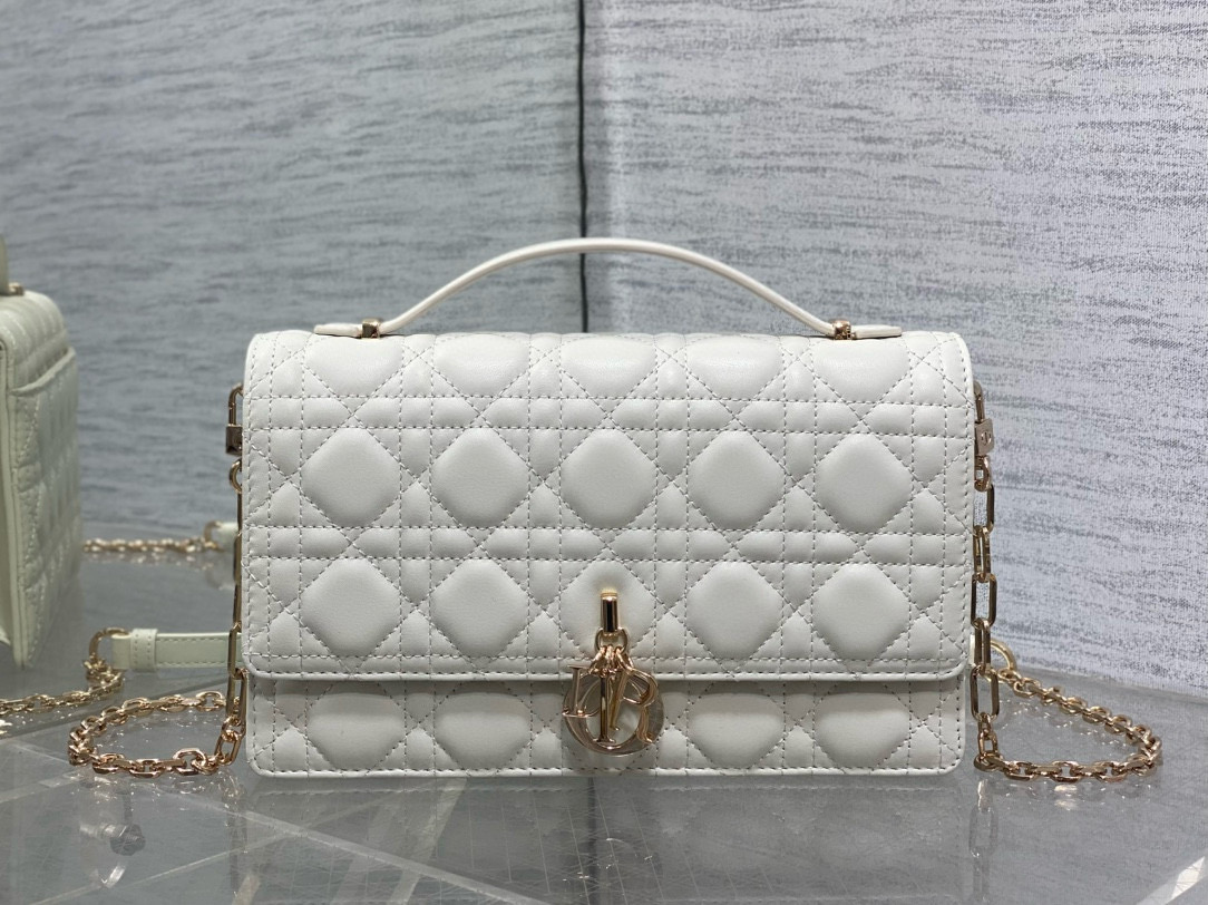 디올 여자가방