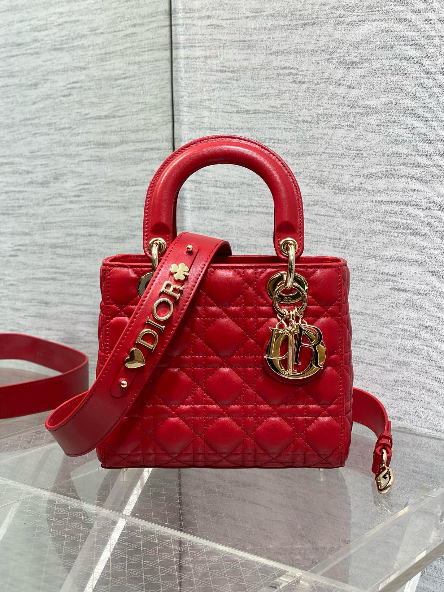 디올 레이디 백 여자가방