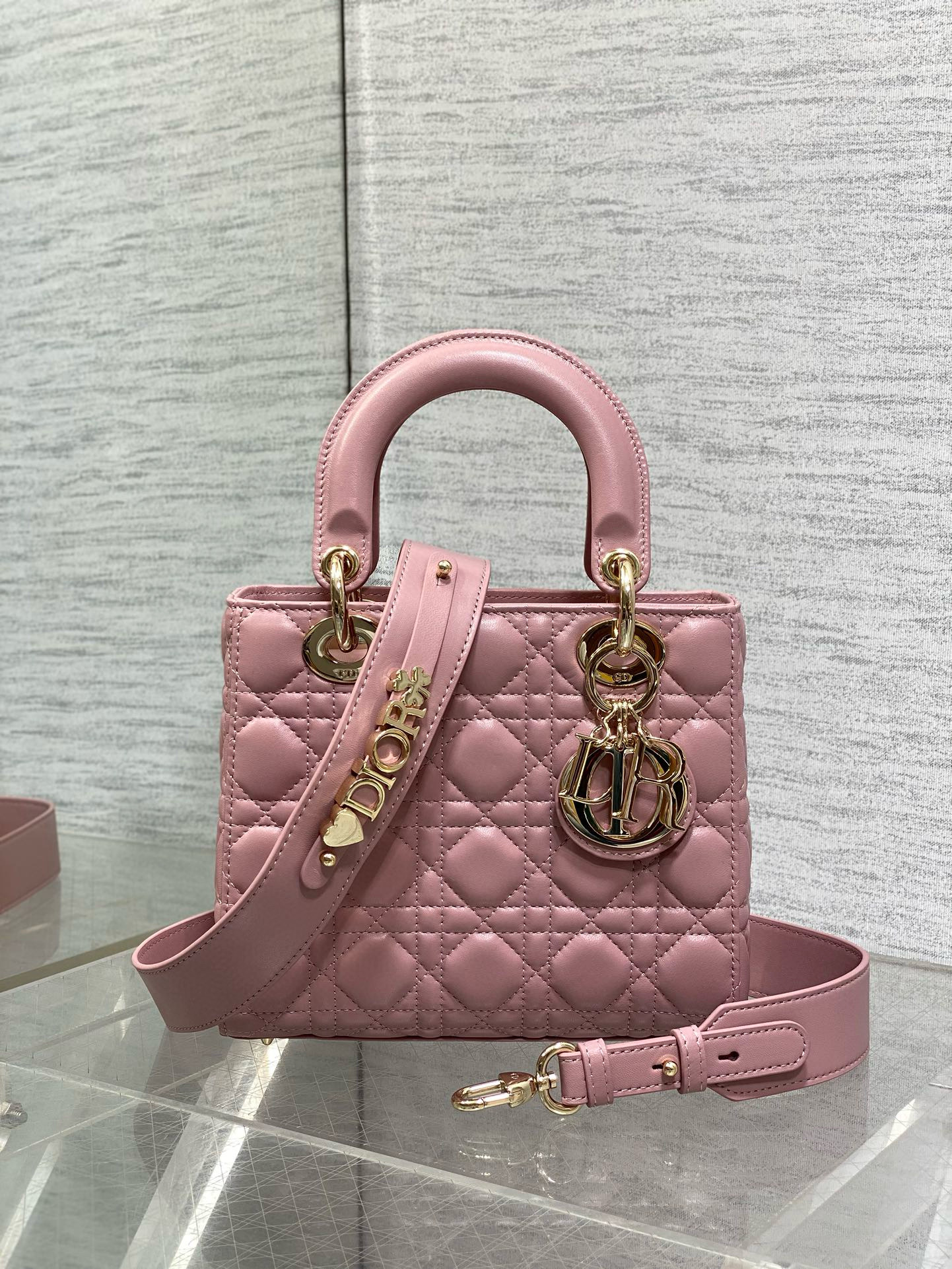 디올 레이디 백 여자가방