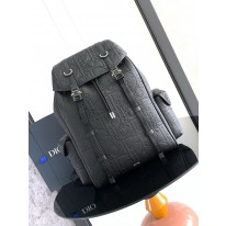 디올 백팩