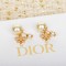 디올 귀걸이
