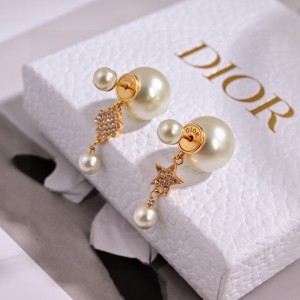 디올 귀걸이