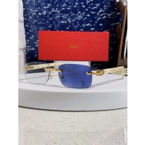 까르띠에 선글라스