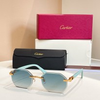 까르띠에 9컬러 선글라스