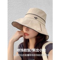 디올 모자