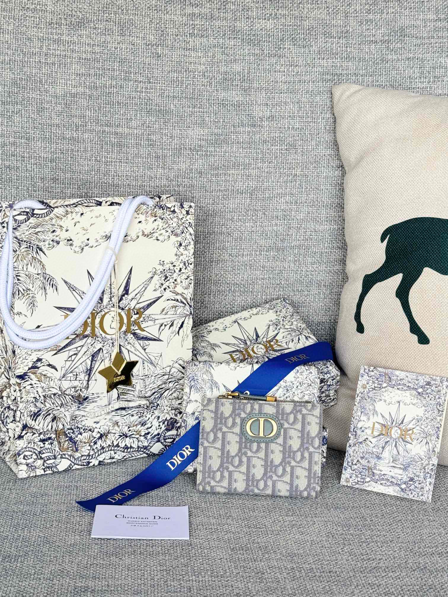 디올 S2197UBHZ_M928 여자 카드지갑 머니클립